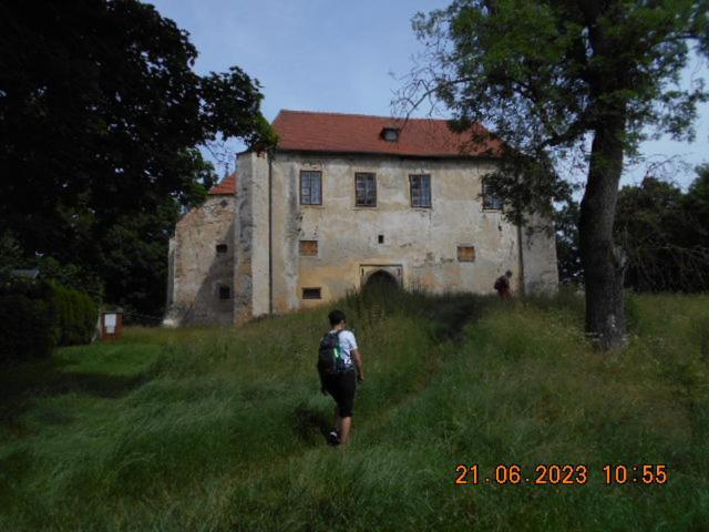 Kopretina Cerne Udoli Exterior foto